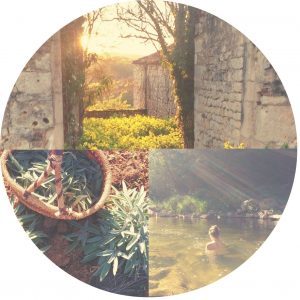 herbal medicine France
