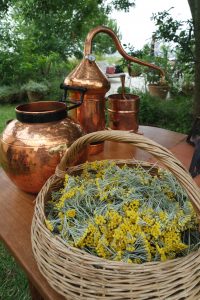 alchemical cauldron