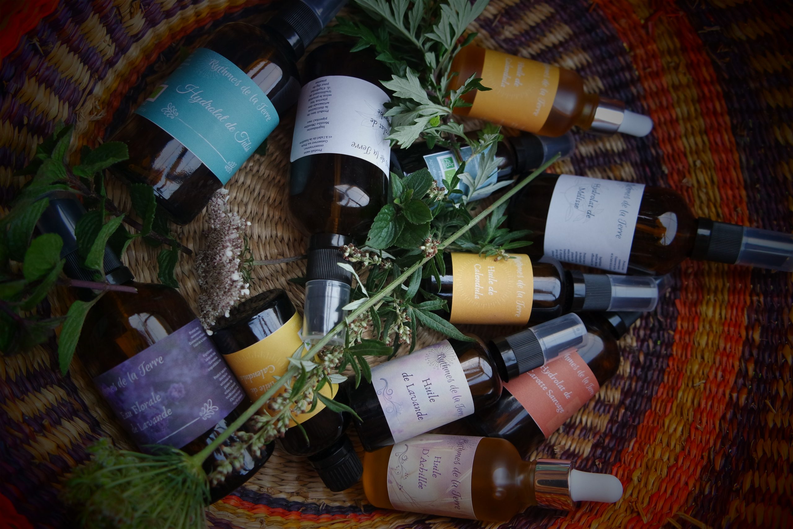 herbal medicine france